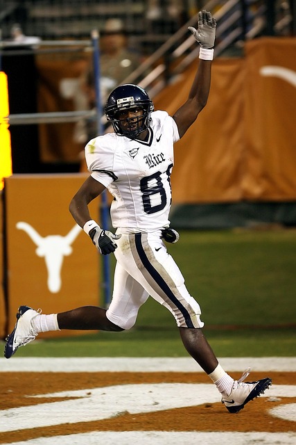 占据明显优 占据明显优